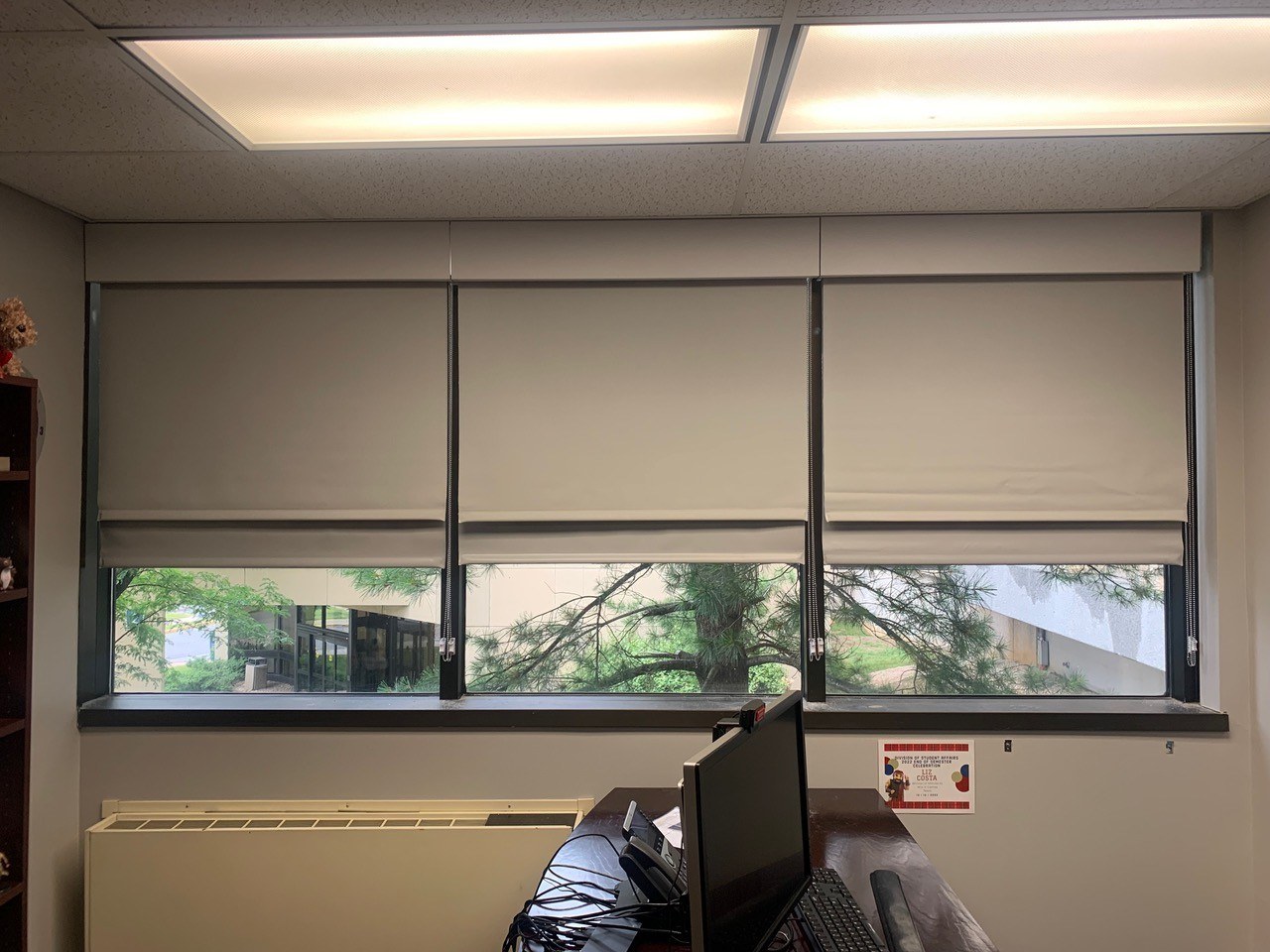 Commercial roller shades installed across a bank of windows
